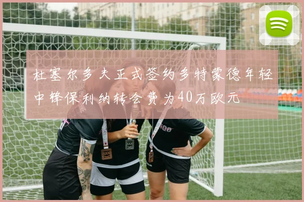 杜塞尔多夫正式签约多特蒙德年轻中锋保利纳转会费为40万欧元