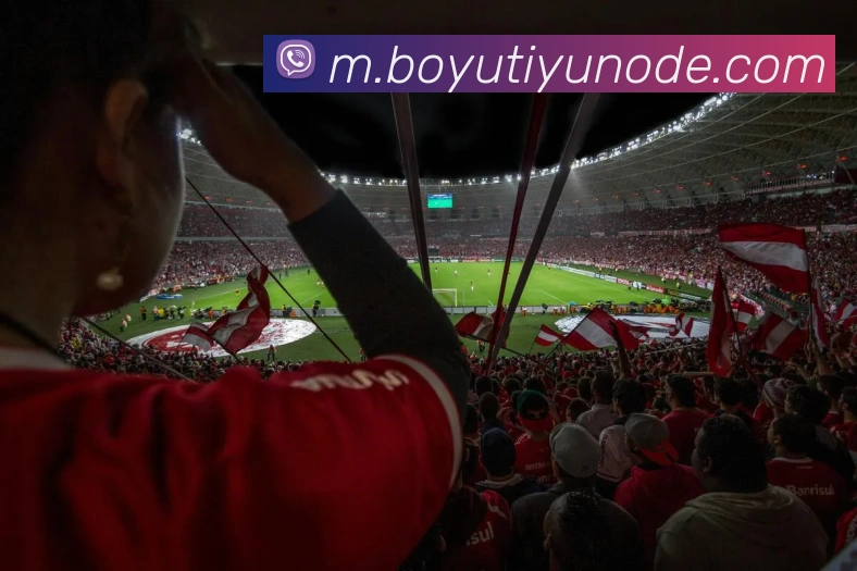 博鱼体育APP 高清赛事图